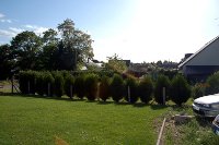 The view from Cedynamix's front door